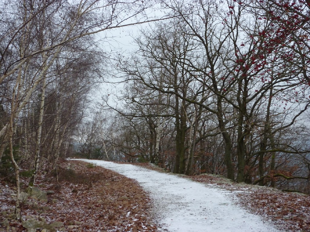 p1000172.jpg