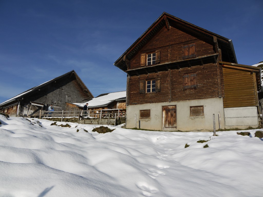 p1000037.jpg