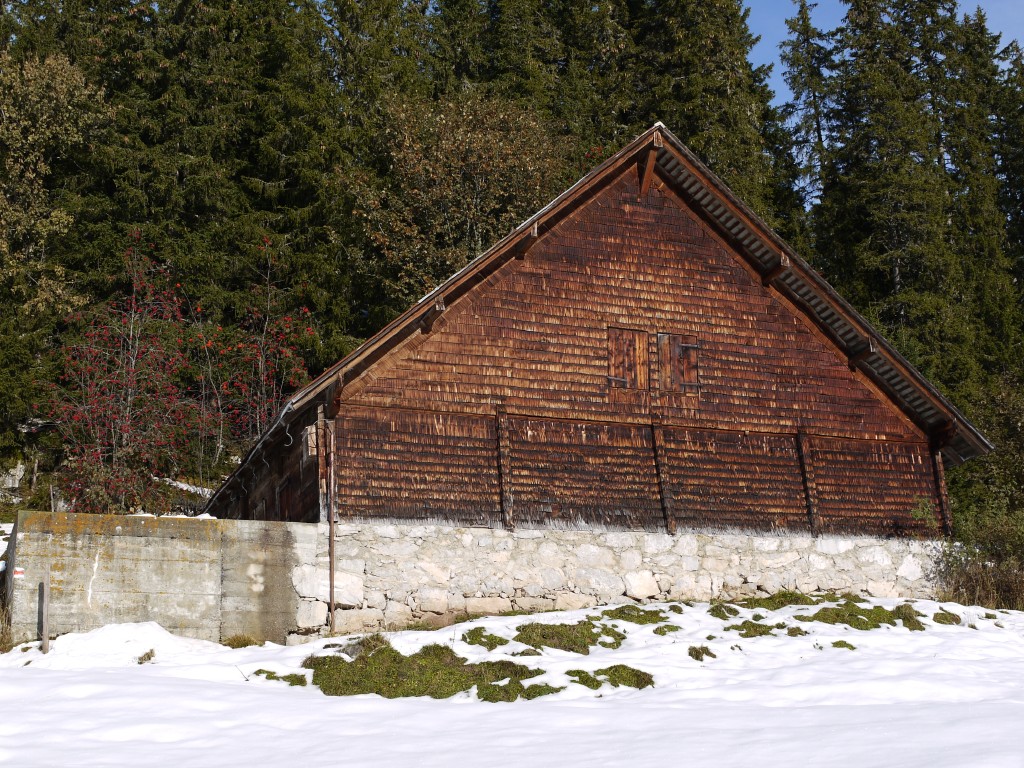 p1000039.jpg