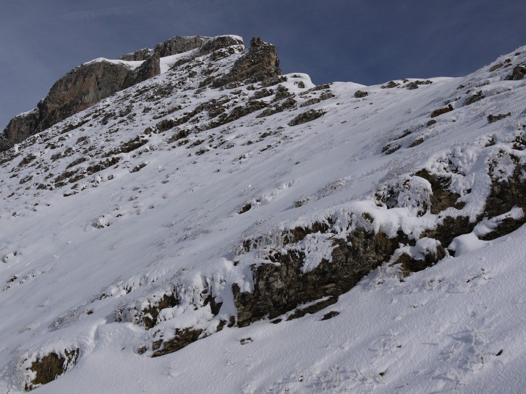 p1000052.jpg