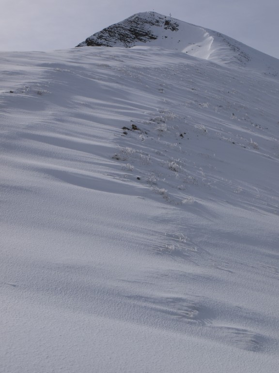p1000054.jpg