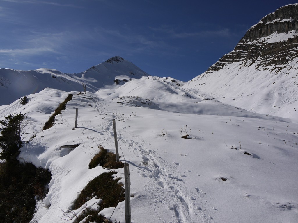 p1000073.jpg