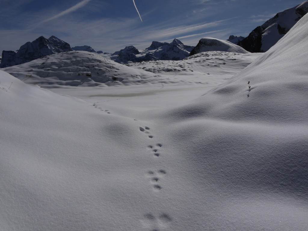 p1000074.jpg
