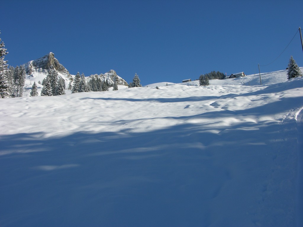dscn3048.jpg