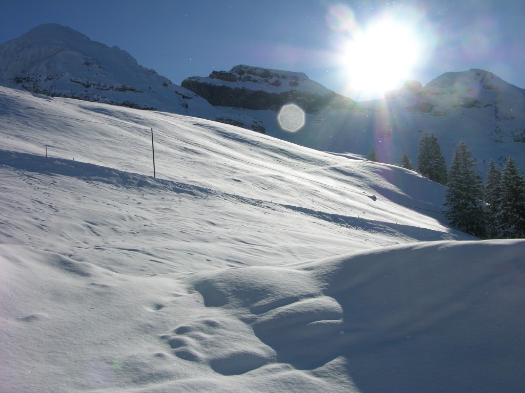 dscn3049.jpg
