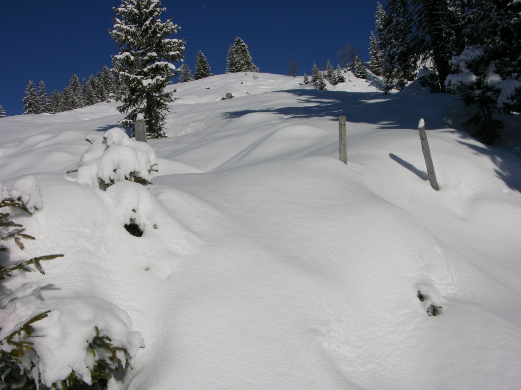 dscn3050.jpg