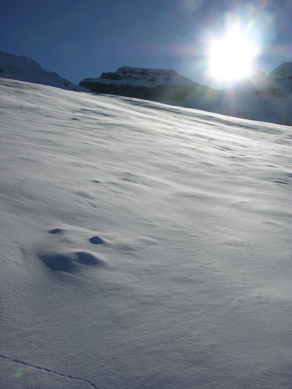dscn3052.jpg