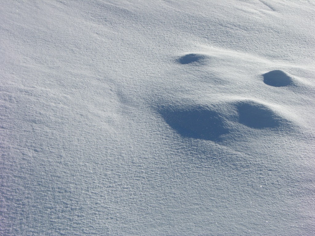 dscn3053.jpg