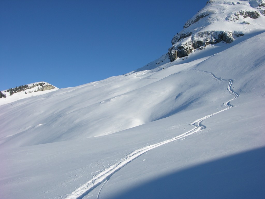 dscn3059.jpg