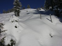 dscn3050.jpg