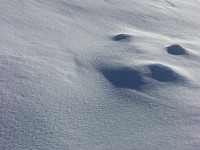 dscn3053.jpg