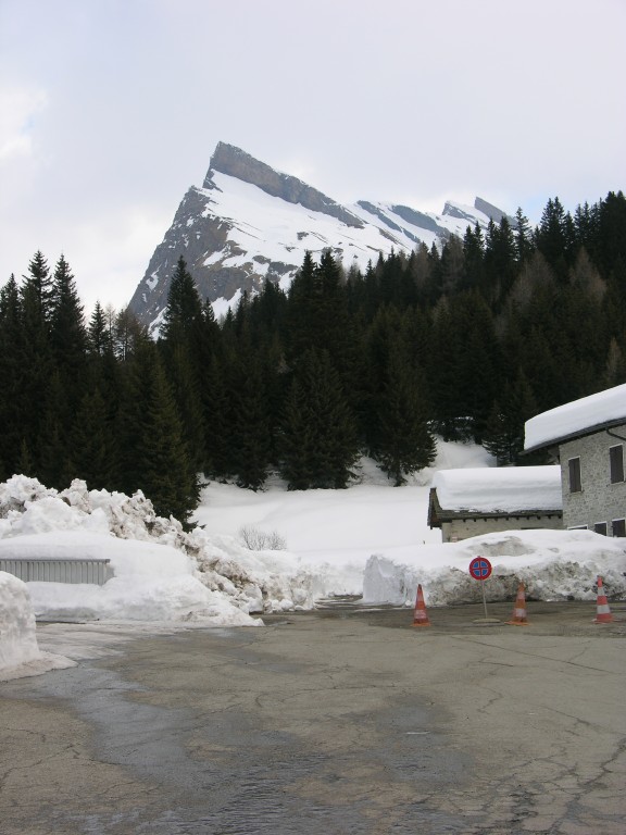 dscn3555.jpg