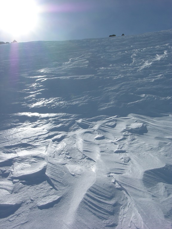 dscn3483.jpg