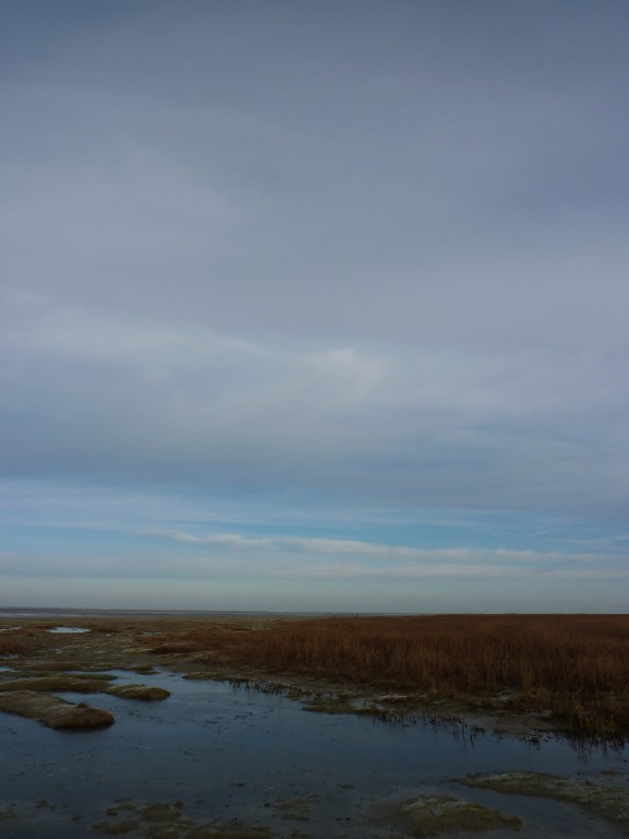 p1000184.jpg