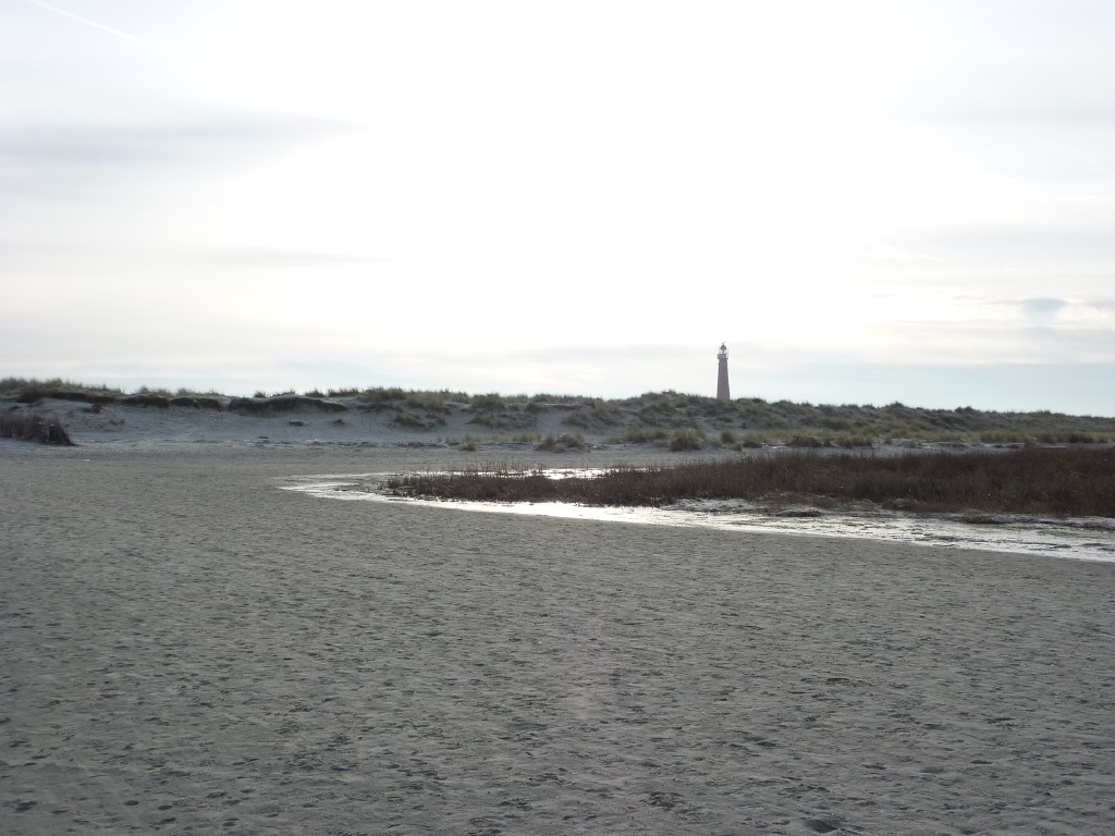 p1000185.jpg