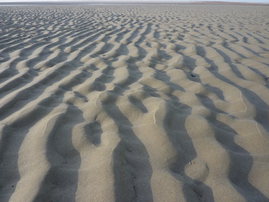 p1000197.jpg