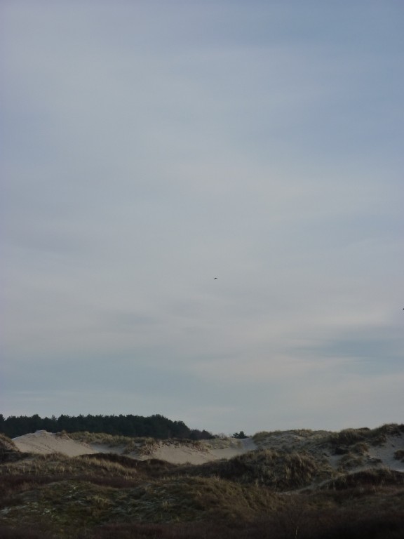 p1000199.jpg