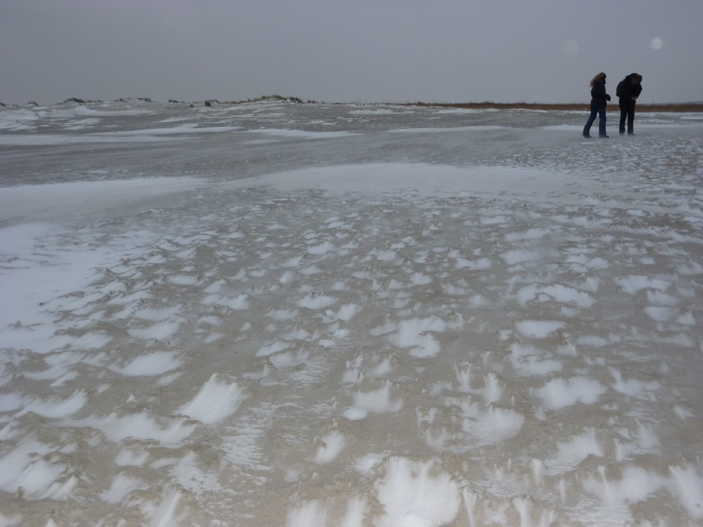 p1000213.jpg