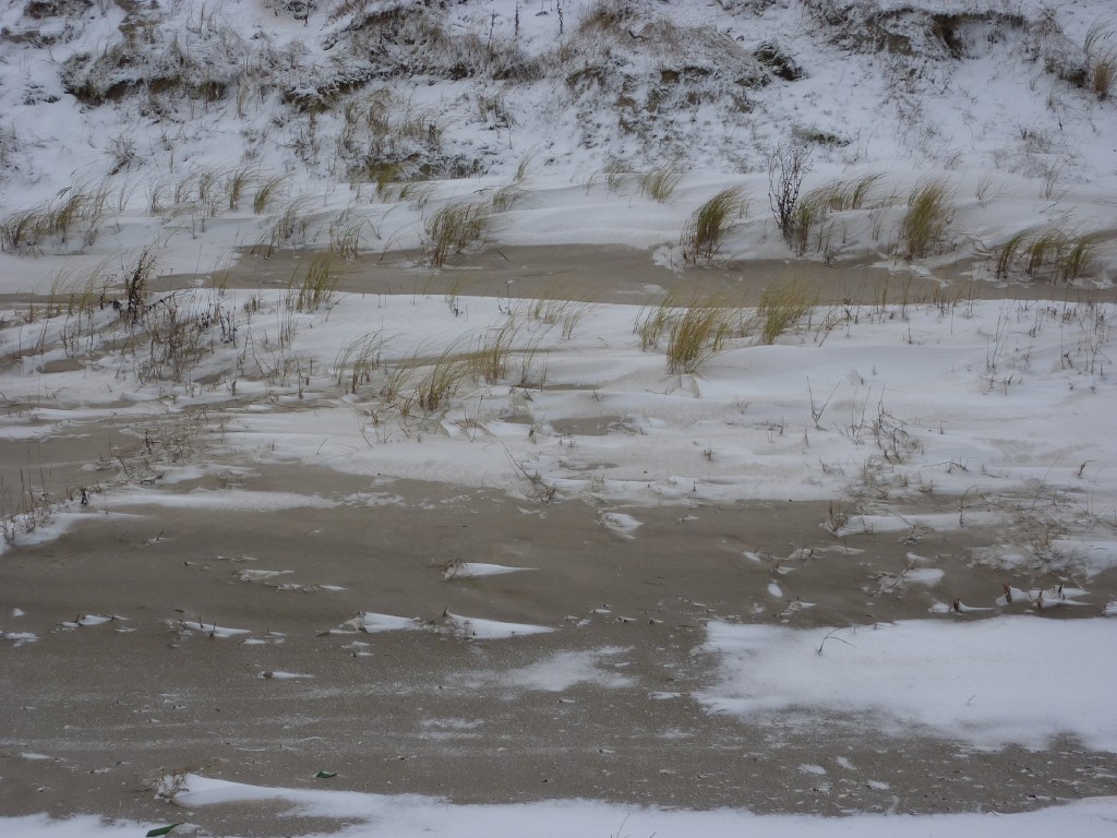 p1000214.jpg