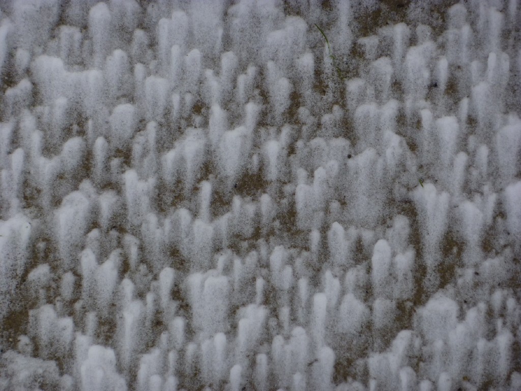 p1000217.jpg