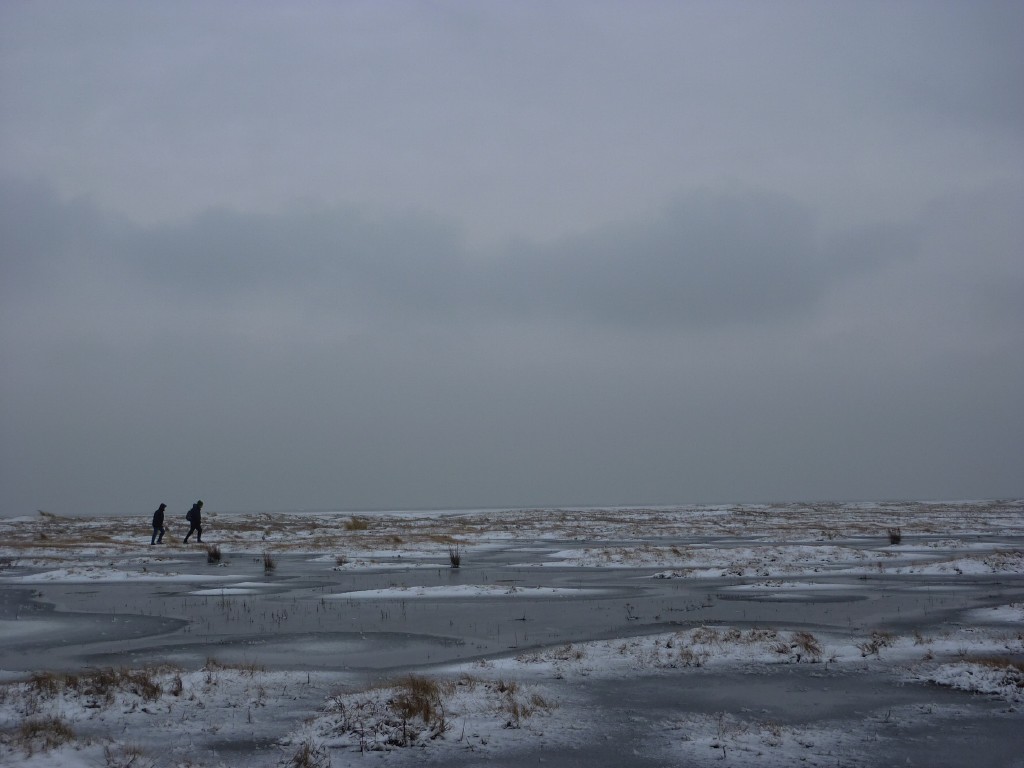 p1000251.jpg