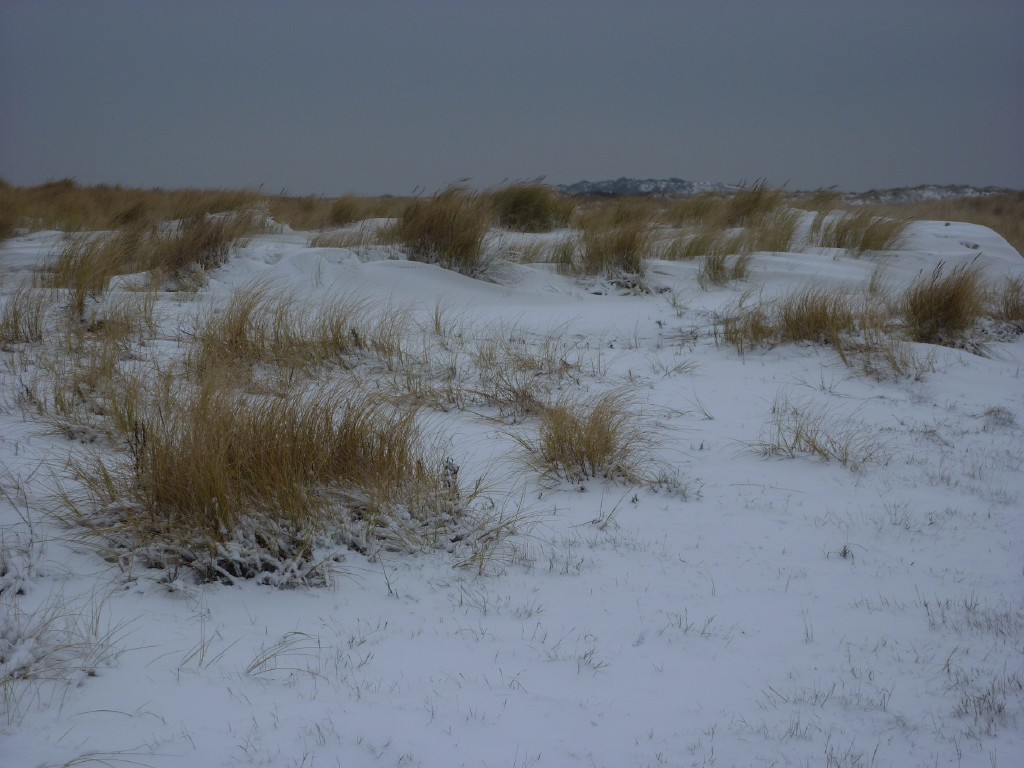p1000252.jpg