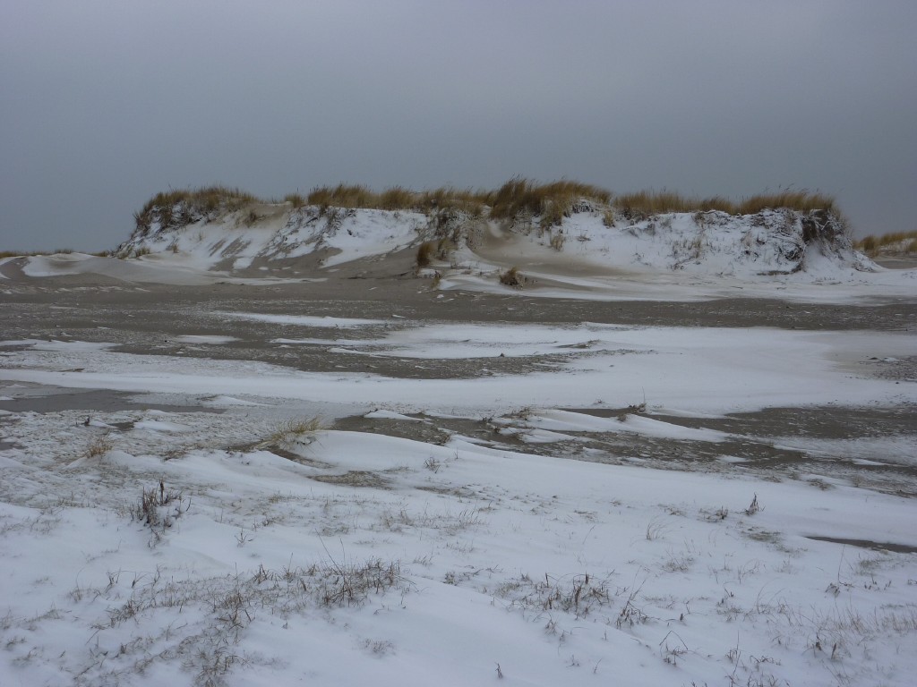 p1000253.jpg