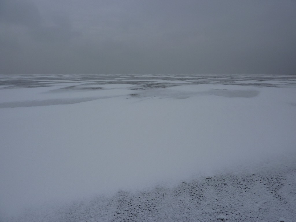 p1000260.jpg