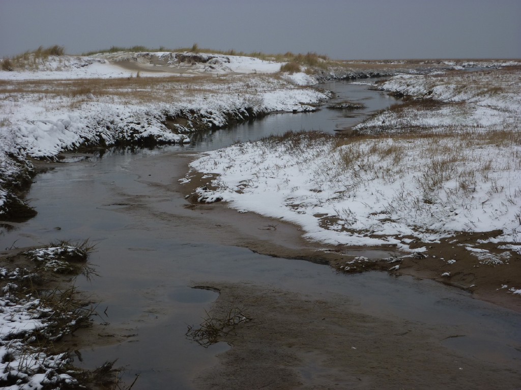 p1000270.jpg