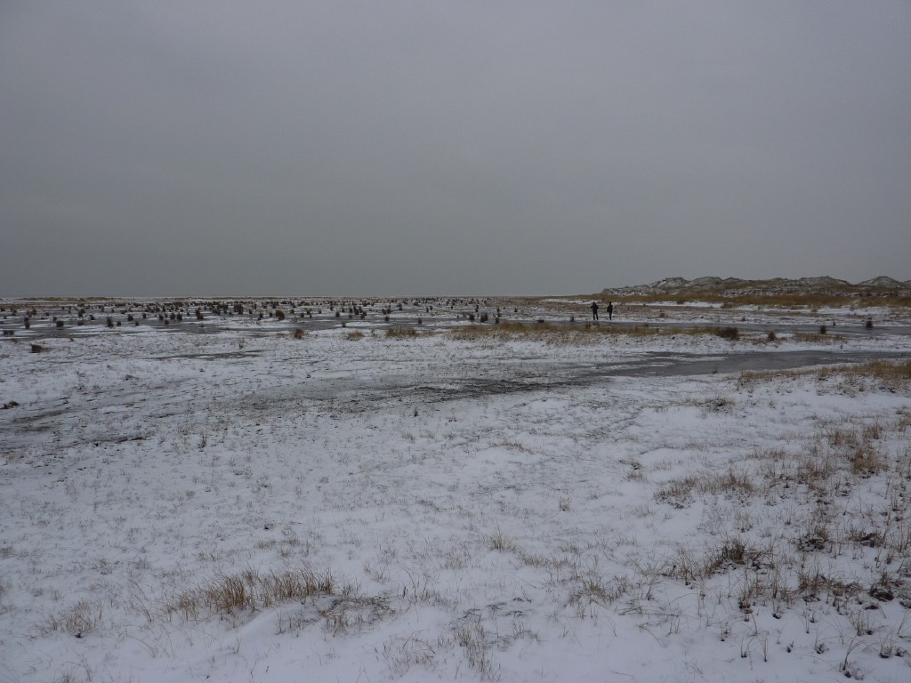 p1000272.jpg