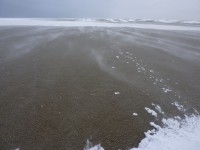 p1000234.jpg