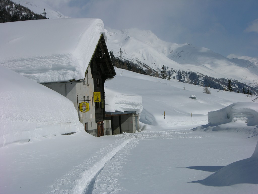 dscn3347.jpg