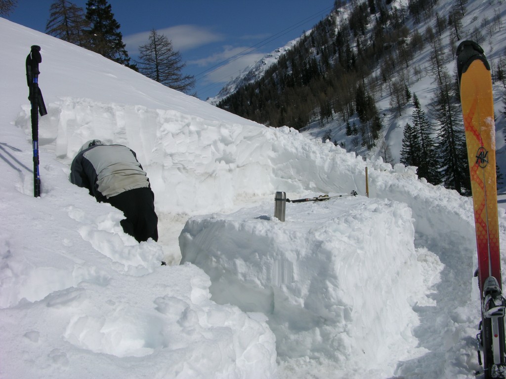 dscn3356.jpg