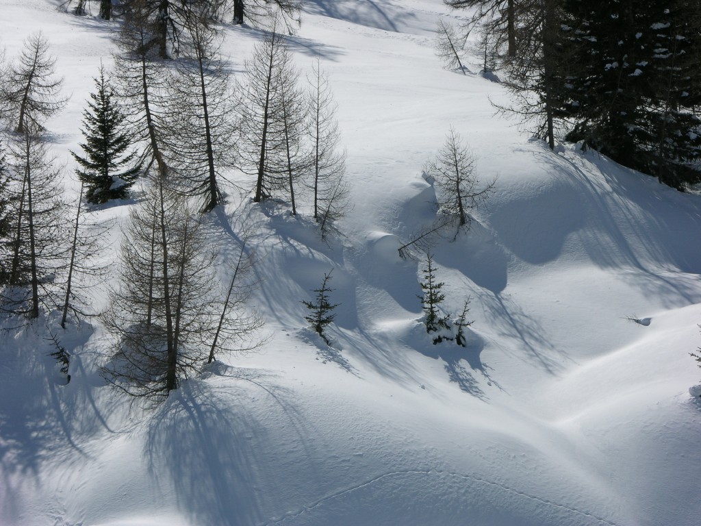 dscn3373.jpg