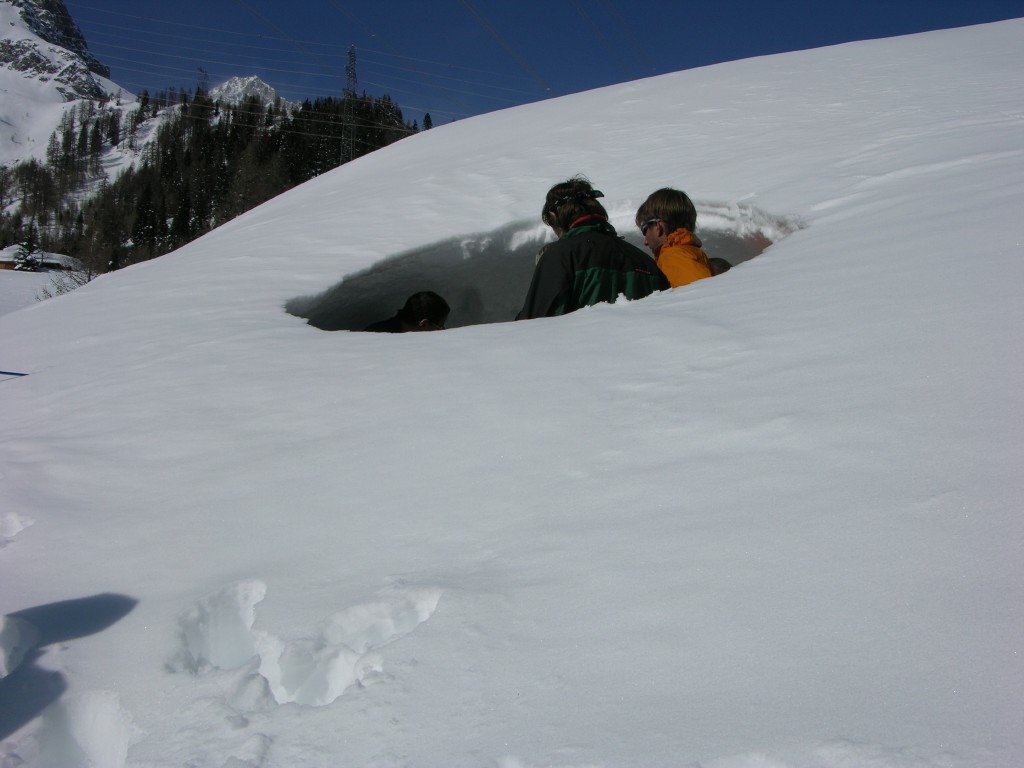 dscn3381.jpg