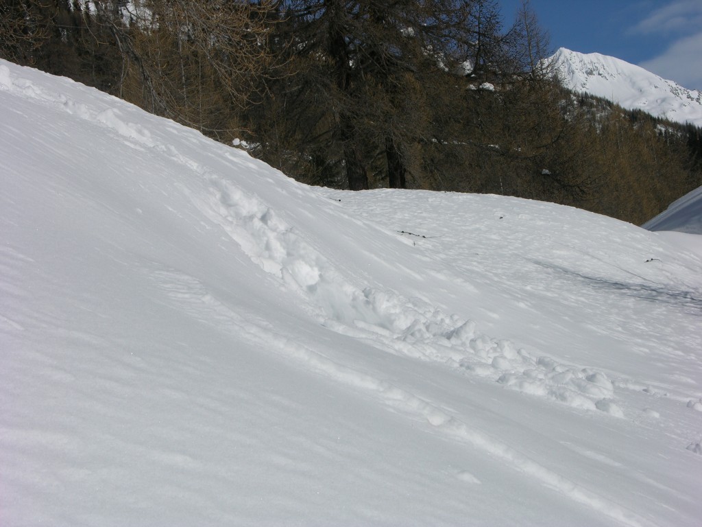 dscn3425.jpg
