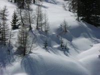dscn3373.jpg