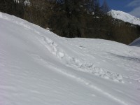 dscn3425.jpg