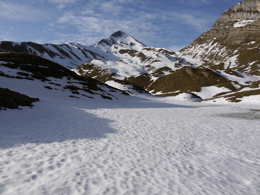 p1000157.jpg