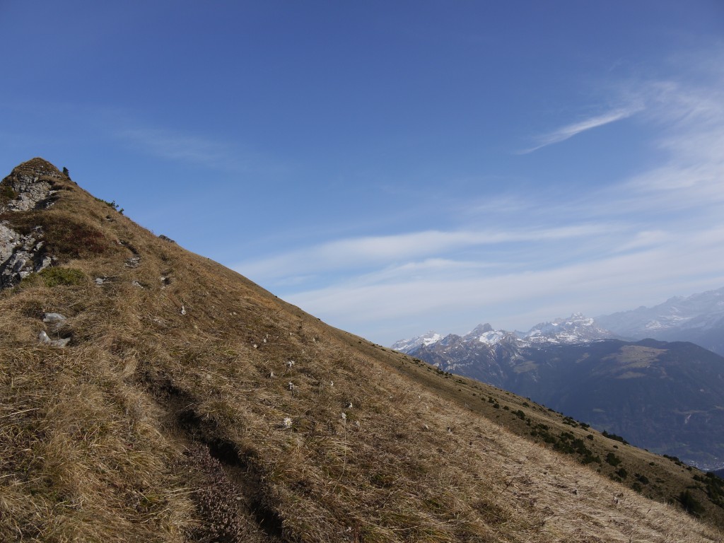 p1000175.jpg