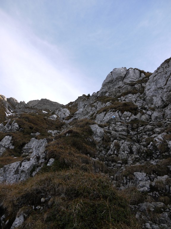 p1000181.jpg