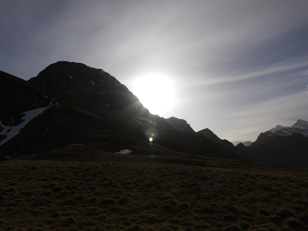 p1000184.jpg