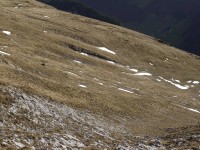 p1000176.jpg