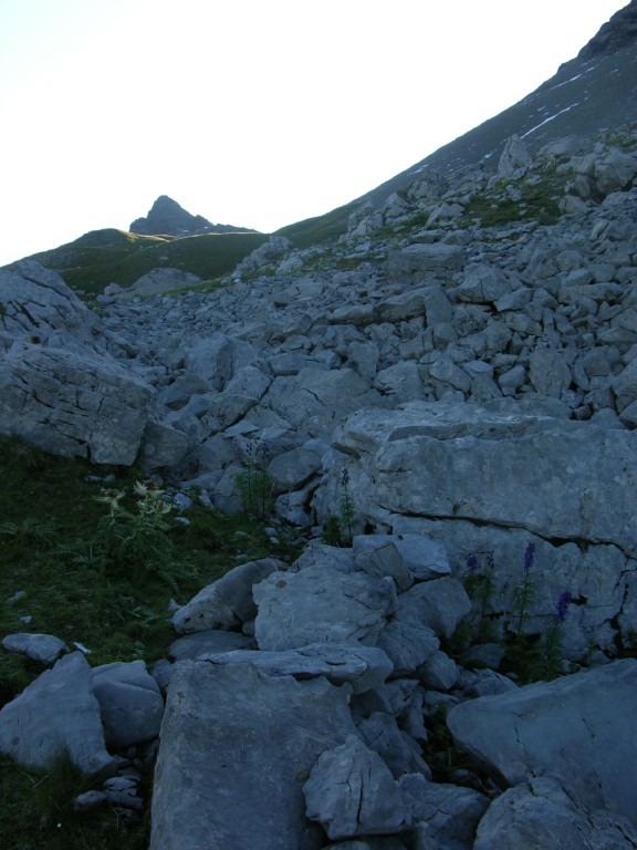dscn5032.jpg