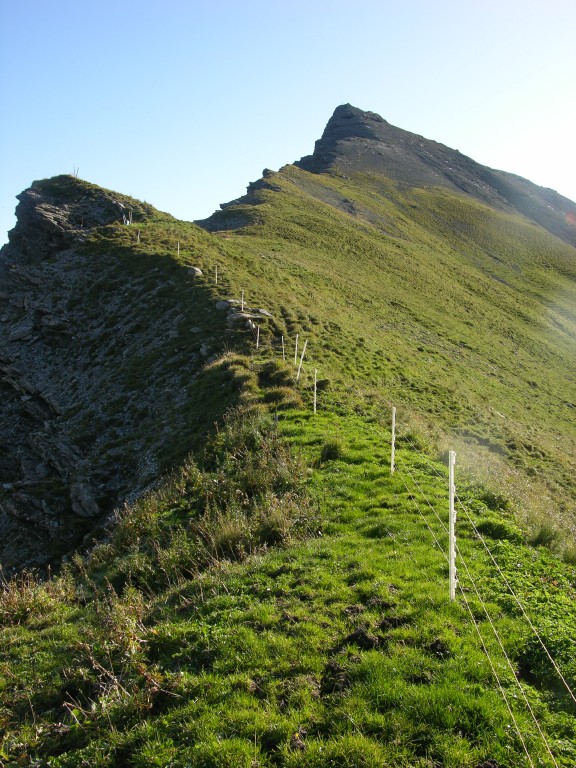dscn5035.jpg