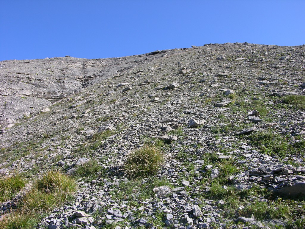 dscn5044.jpg