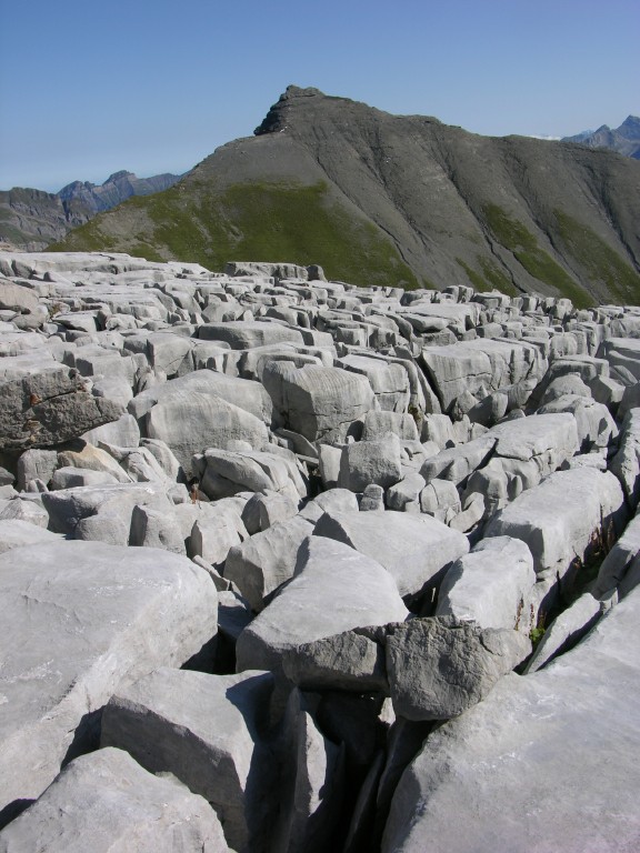 dscn5048.jpg