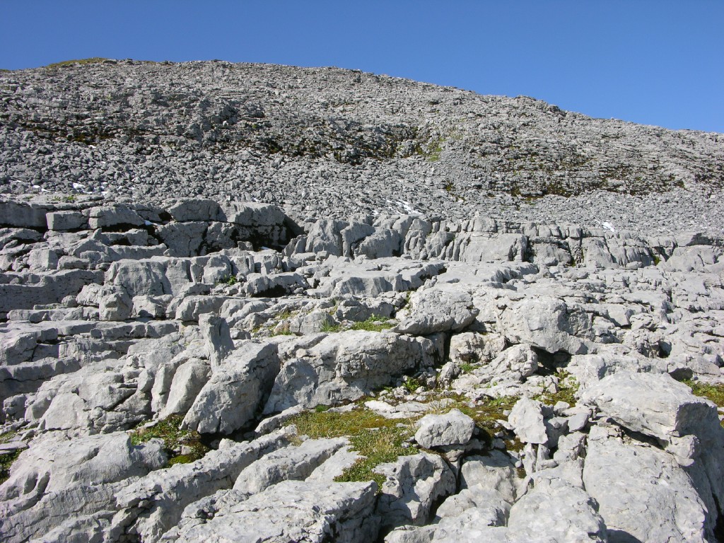dscn5049.jpg