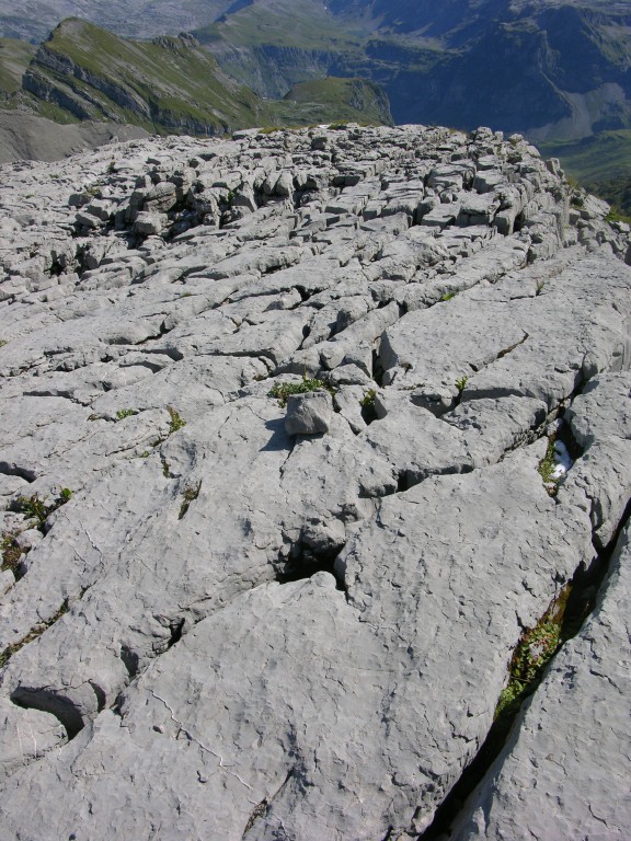 dscn5056.jpg