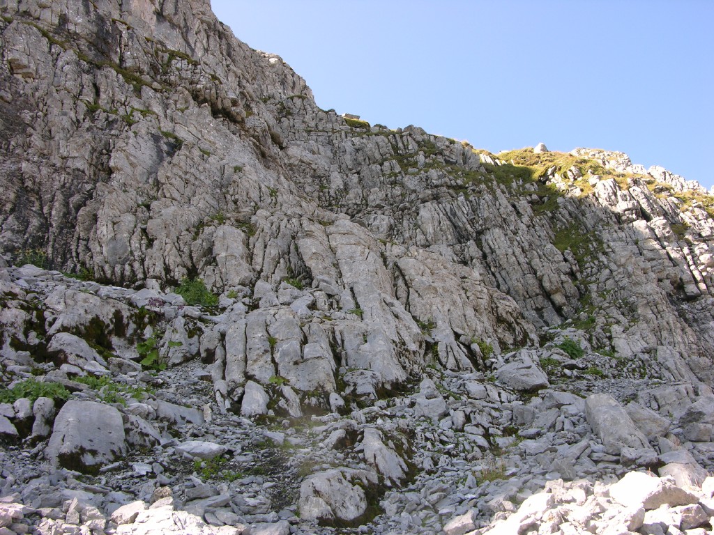 dscn5060.jpg